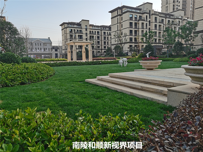 1614327118975745.jpg 南陵新视界项目 (2).JPG