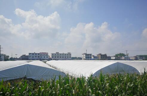 1630983414638548.jpg 图片4.jpg