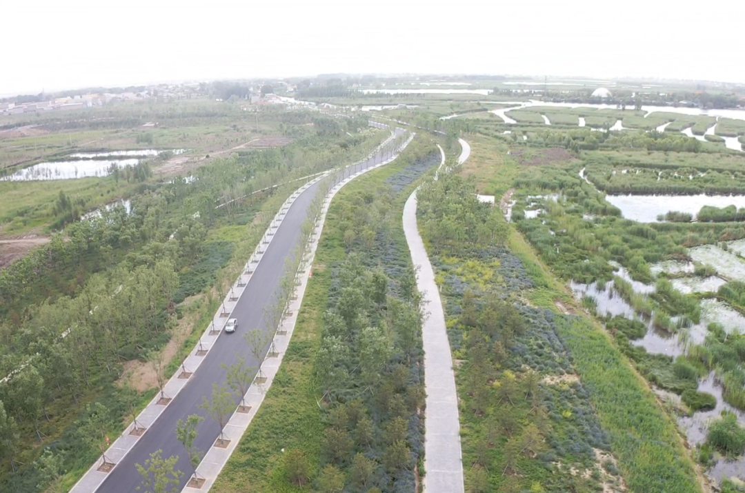 1707196308741515.png 7.png