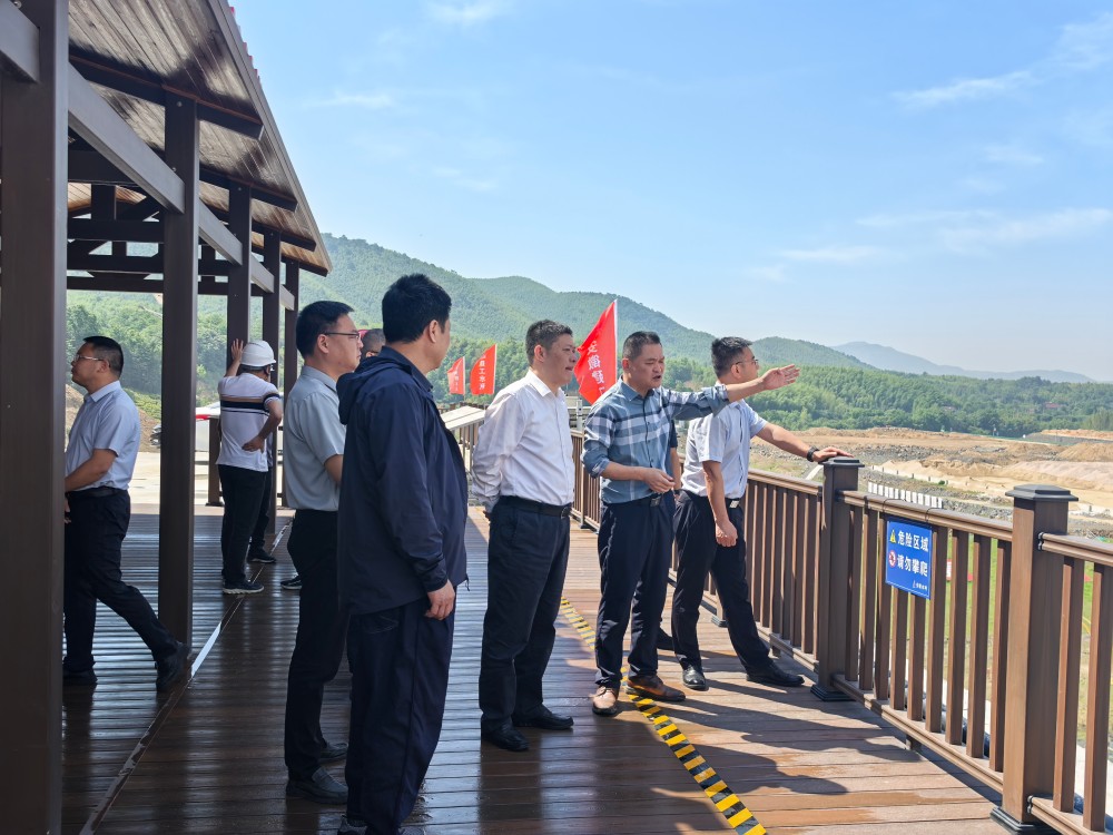 凤凰山督导检查.jpg