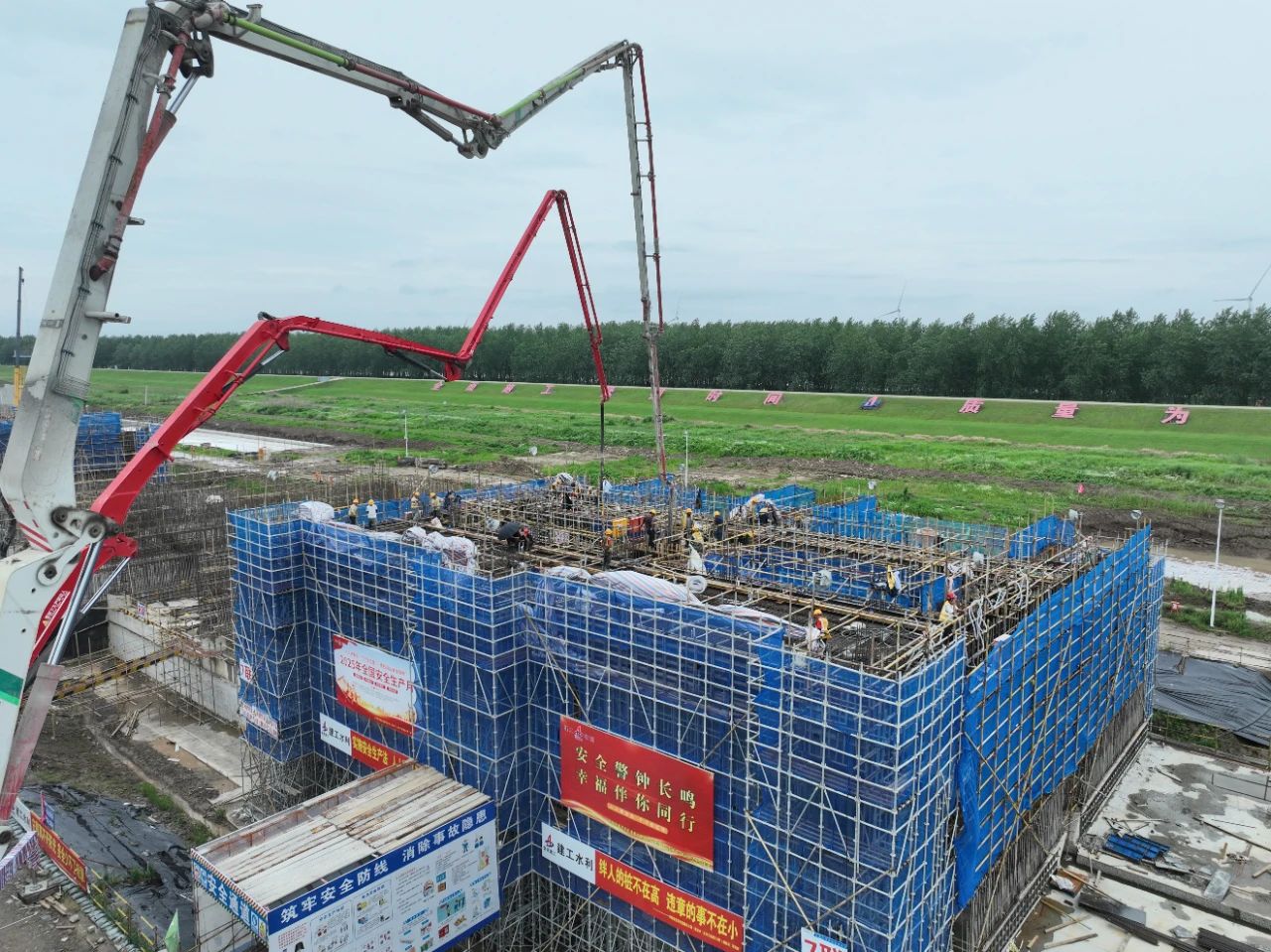 1750639511884862.jpg 1.jpg